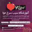 Eve Red Apple School