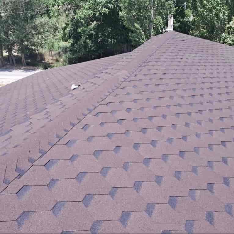 Bee shingle