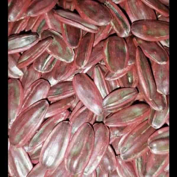 بذرة S3 الهجينة (1) Aibaklar