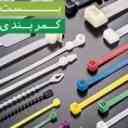 Frouzesh belt buckle agency in Tehran