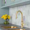 Almas kitchen appliances store in Bandar Abbas