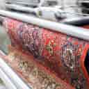 Mehdi Aj carpet cleaning in Alborz