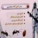 Basharat spraying service company in Ahvaz