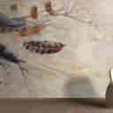 Safir interior decoration, design and implementation of wardrobe and bed cabinets in Isfahan