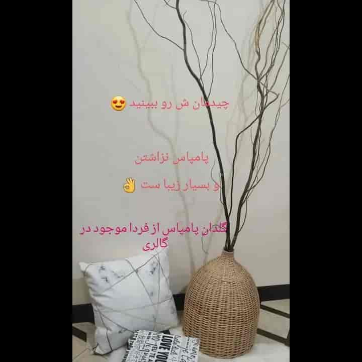 1691044150891.webp