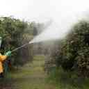 Giti Mehr Sabz Spraying Company in Yazd