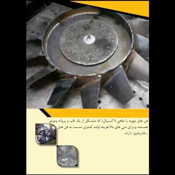 1699941111237.webp