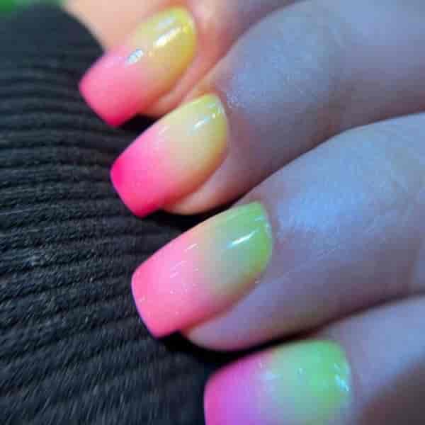 1702452891559.webp