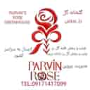 Provin Dutch rose cuttings production and distribution in Yasouj