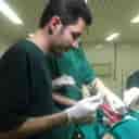 Dr. Peyman Rahimnejad's veterinary medicine in Saqqez