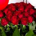 Rhubarb company, production and distribution of eternal and Dutch roses in Isfahan