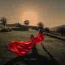 Majid Darsane studio, formal wedding photography and gatherings in Sari, Mazandaran