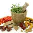 Motahari Trading, wholesale sale and export of medicinal plants in Gachsaran