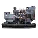 Mahmoudi Diesel Generator, Buying and Renting Diesel Generator in Mashhad