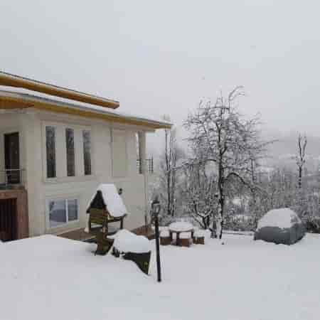 1764500243334.webp