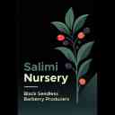 Salimi nursery, production of seedless black barberry seedlings in East Azarbaijan