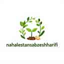 Sabz Sharifi hardworking nursery