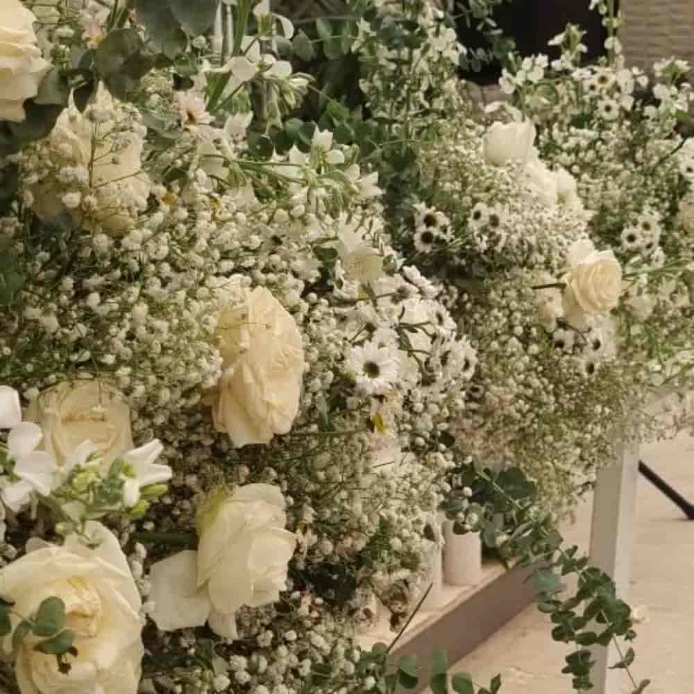 1781082454937.webp