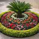 Mohammadi gardening, floriculture and sale of four-season flowers, fertilizers and pots in Karaj
