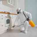 Rezaei Spraying, insect spraying services in Hamedan