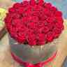 Taharah flower shop