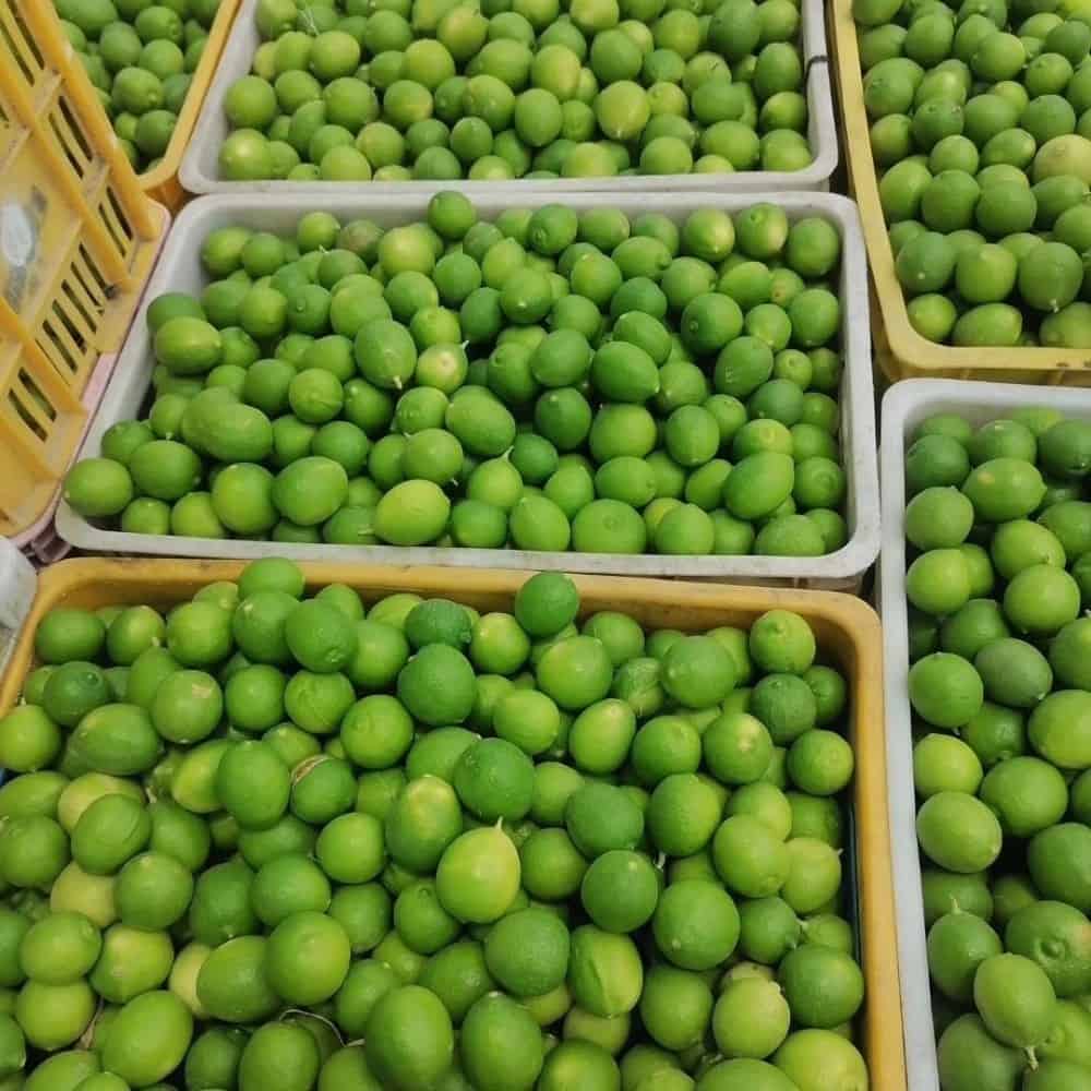 lime