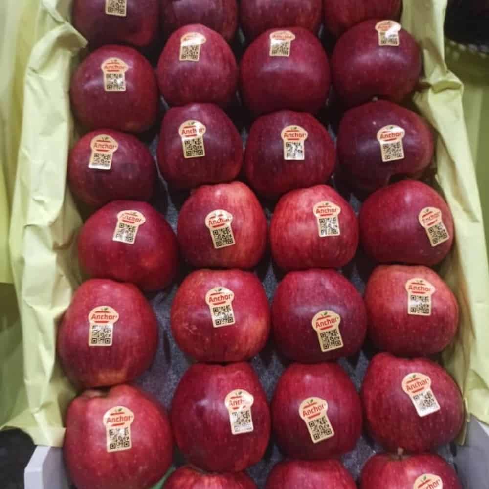 red apple