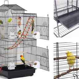A store of cages and accessories and Kasri bird feeders in Karaj