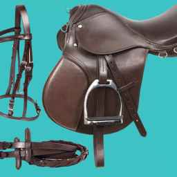 Gardener riding equipment in Qazvin