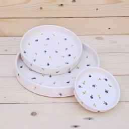 Unique ceramic dishes and accessories in Karaj