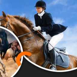 Zoroastrian Riding Club