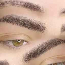 Mazandaran'da Microblading ve Hosseini dövmesi