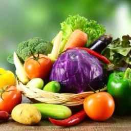 Export and sale of dry and wet summer foods of Ghafarzadeh in Isfahan