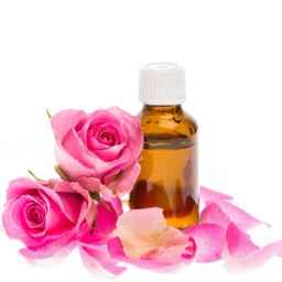 Production of traditional Nilo rose water in Fasa, Fars