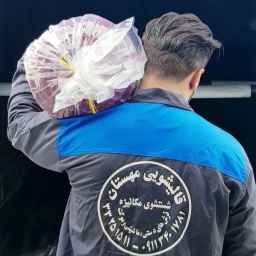 Carpet cleaning and sofa cleaning in Mehestan under the management of Nima Pourfarkhi in Rasht
