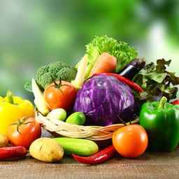 Paliz Company, export of agricultural products in Tehran