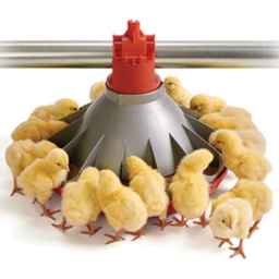 Poultry equipment of Khodabande Lu in Qazvin