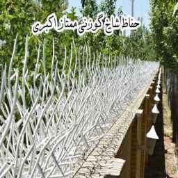 حماية ممتازة