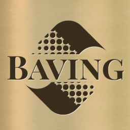 Bavin Group
