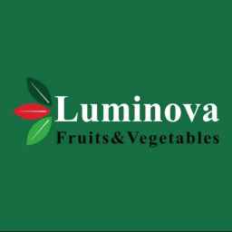 Luminova Trading