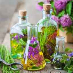 Production and sale of Tergol spirits of Badroud Verasiav mill