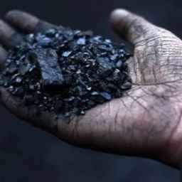 Sale of hard brown and bituminous coal from Amol, Mazandaran