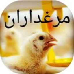 مخزن أعلاف المواشي والدواجن في تلاش