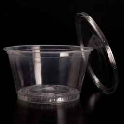 Manufacturer of Hosseini disposable dishes in Tabriz