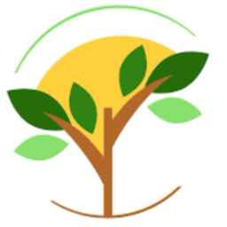 Sale of walnut seedlings and Yashil nursery in Miandoab