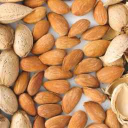 Wholesale sale and export of Bahalu tree almonds in Tehran