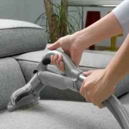 Art sofa and carpet cleaning in Anzali