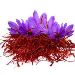 Selling saffron 101 in Shahanjrin, Hamadan