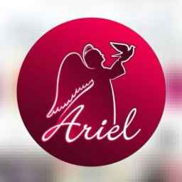 Wholesale distribution of Ariel's boys and men's clothing in Mashhad