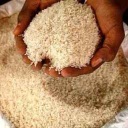 Edible oil and Iranian rice in Gilan